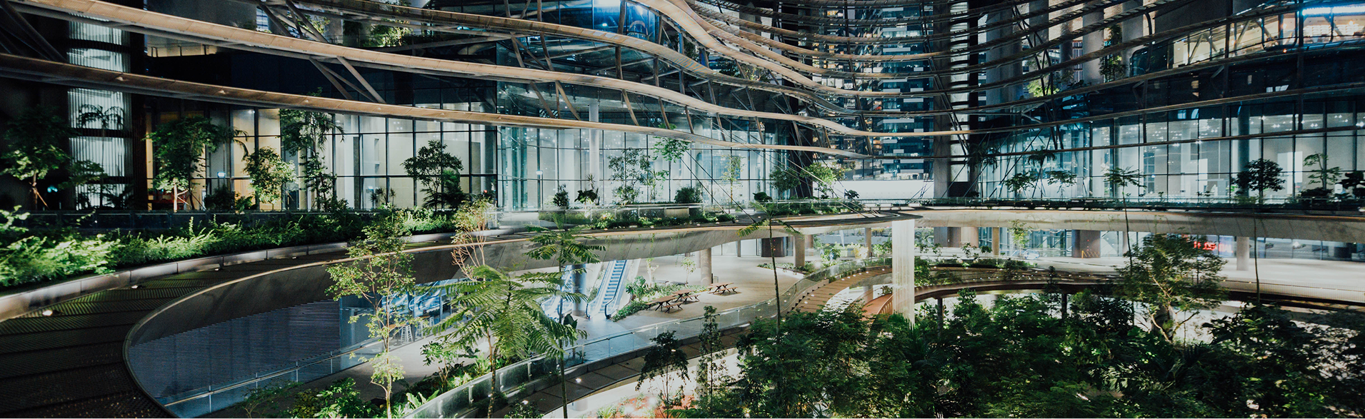 Birleşmiş Milletler