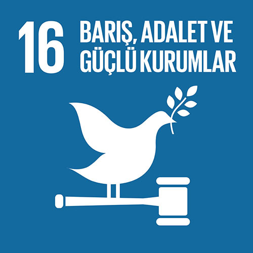Sürdürülebilirlik 9